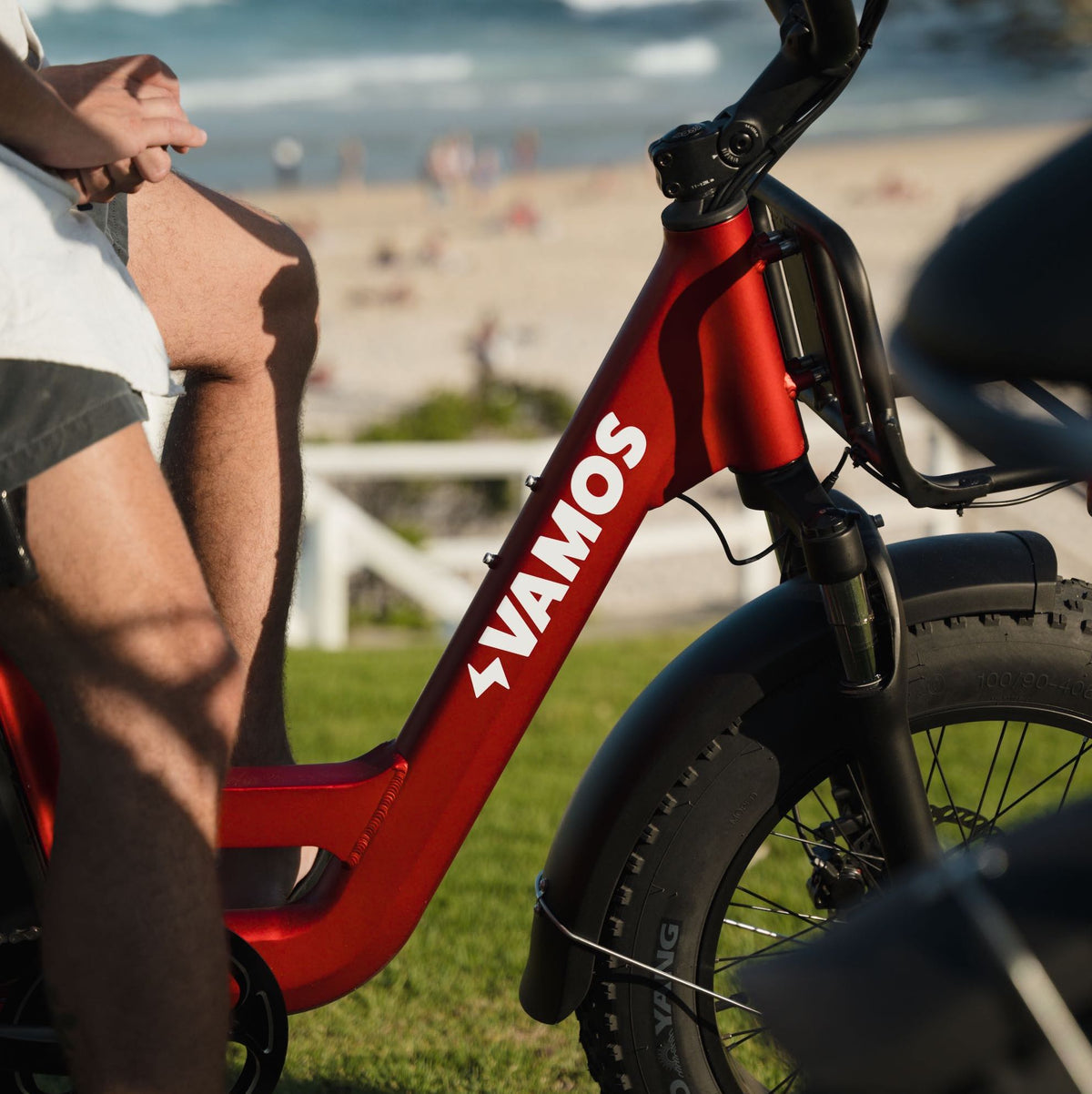 Red Vamos El Amigo cargo electric bike with fat tires parked near a scenic coastal area.