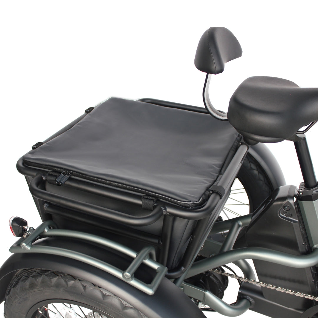 Rear cargo compartment and comfort seating of a Vamos Papa Grande Pro Electric Trike