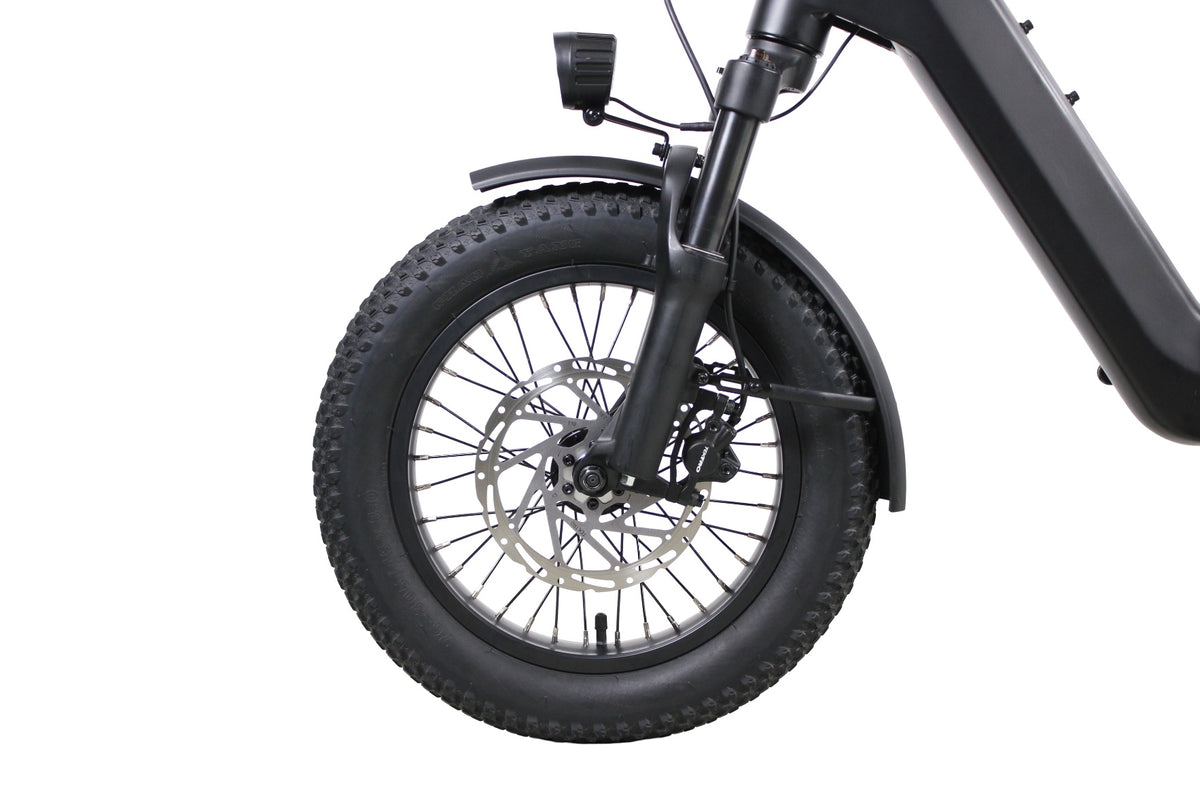 The front wheel assembly and suspension fork of a 20-inch fat-tire electric bike