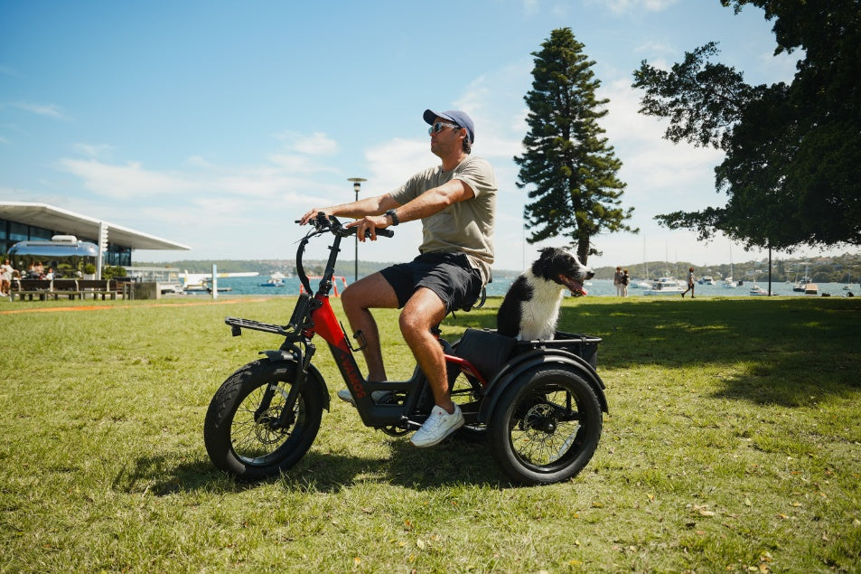 A rider on a red Vamos Papa Grande Pro 3-wheel electric cargo trike with a dog sitting in the rear carrier.