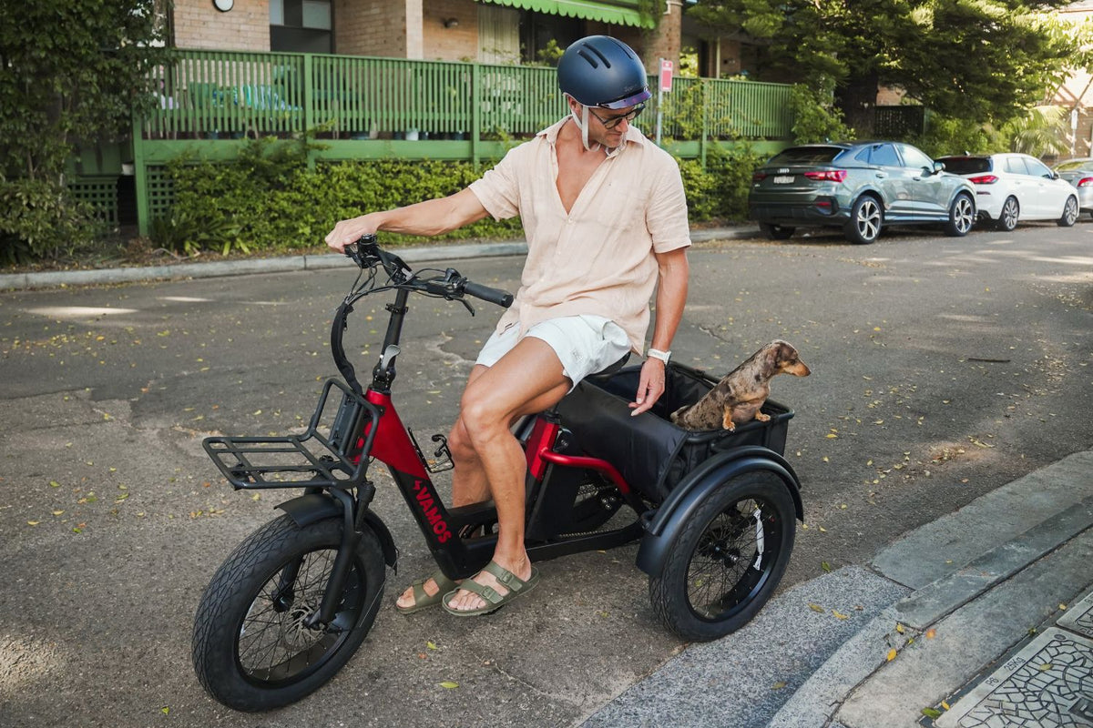 Man in a helmet on a red Vamos electric trike with a dachshund in the rear basket on a suburban street.