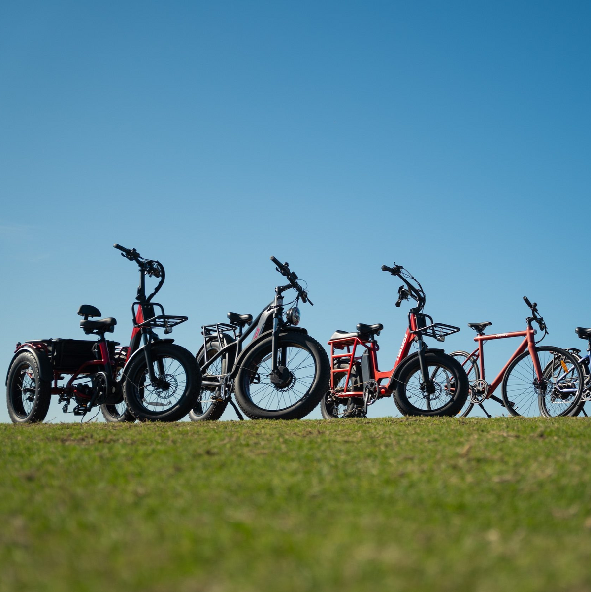 Vamos Electric Bike models lined up in a greenfield