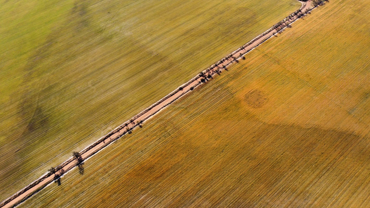 An aerial view of a straight dirt road cutting diagonally across large agricultural crop fields with textured green and golden-brown patterns.