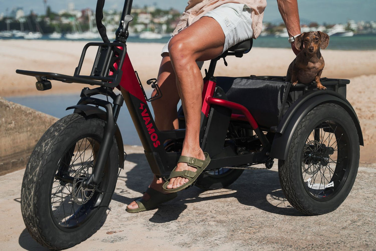 Small dog riding in the rear cargo rack of a red and black Vamos electric tricycle near the beach.