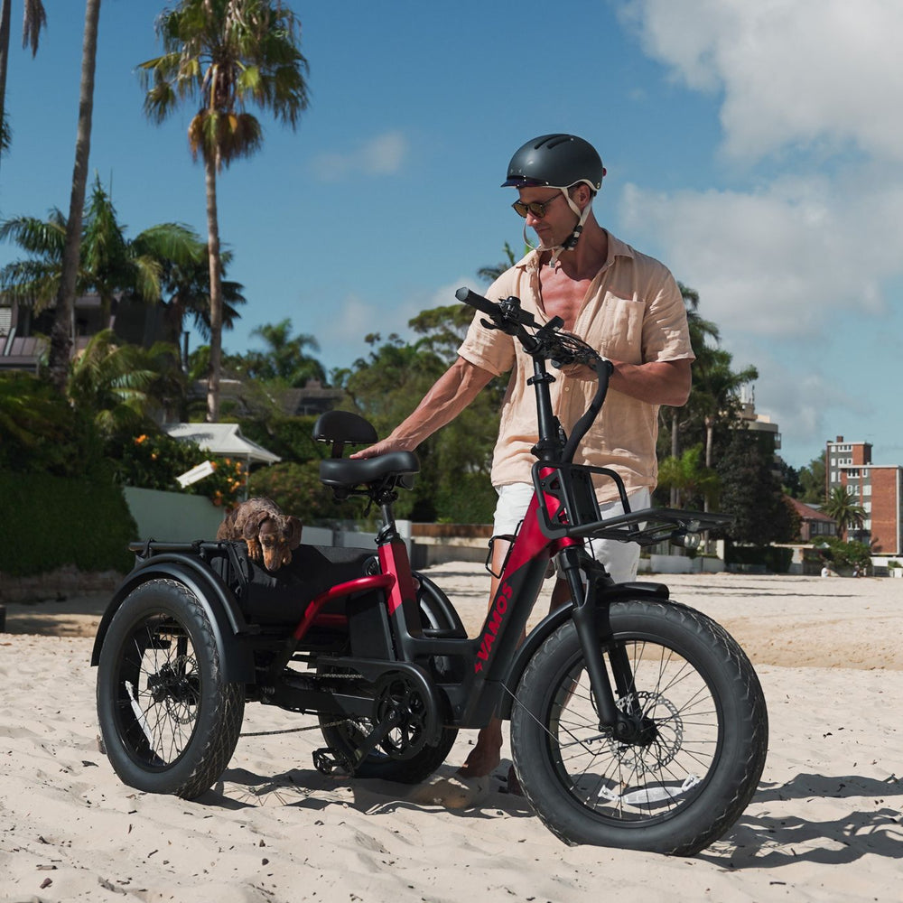 Man in a helmet standing with a red and black Vamos electric tricycle on the beach with a small dog in the rear basket.