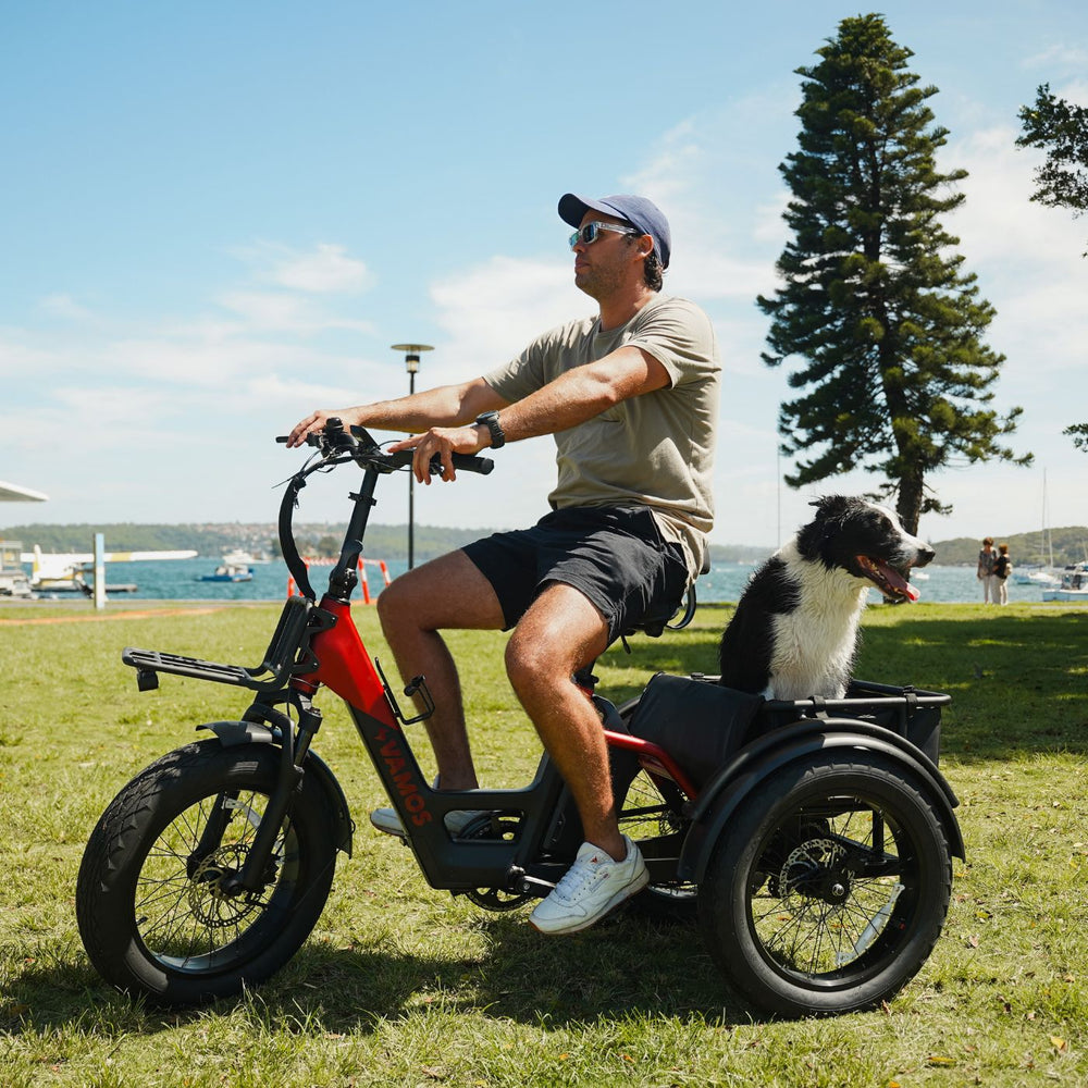Man riding a red and black Vamos electric tricycle with a border collie in the rear cargo rack near the water.