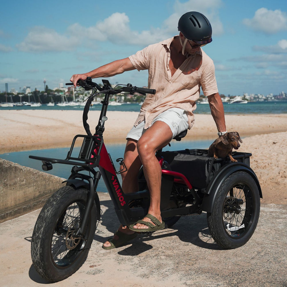 Man wearing a helmet seated on a red and black Vamos electric tricycle on a beach walkway with a small dog in the rear cargo basket.