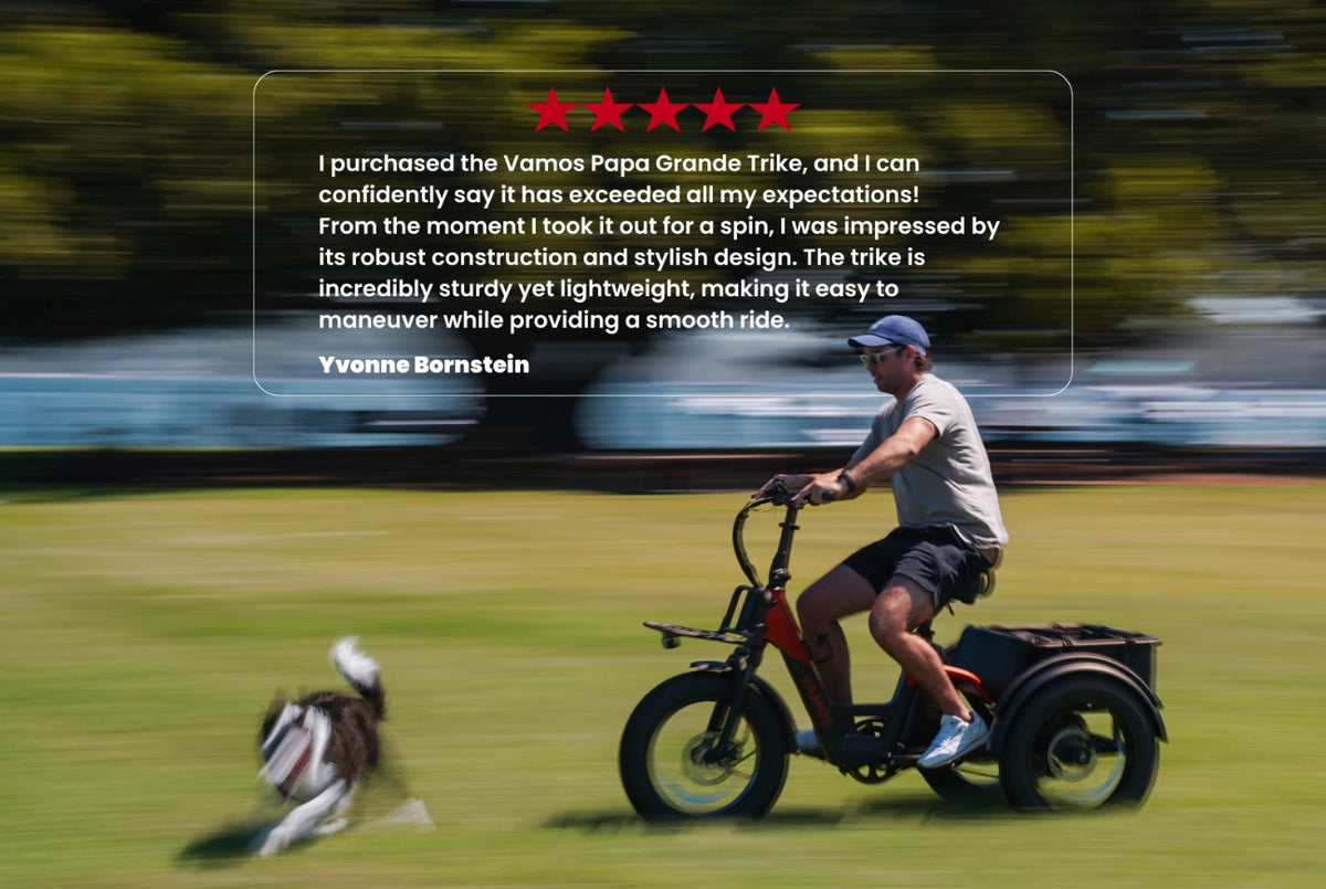 A person riding a Vamos Papa Grande Pro 2026 e-trike across a field, highlighted alongside positive customer reviews.