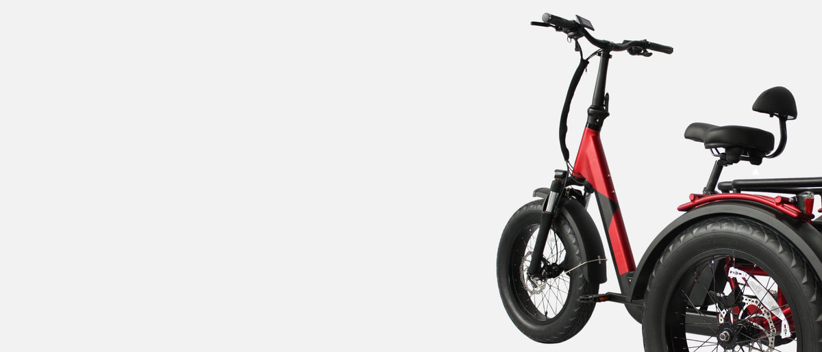 Homepage hero banner featuring the Vamos Papa Grande electric bike parked on a scenic Australian coastal path.