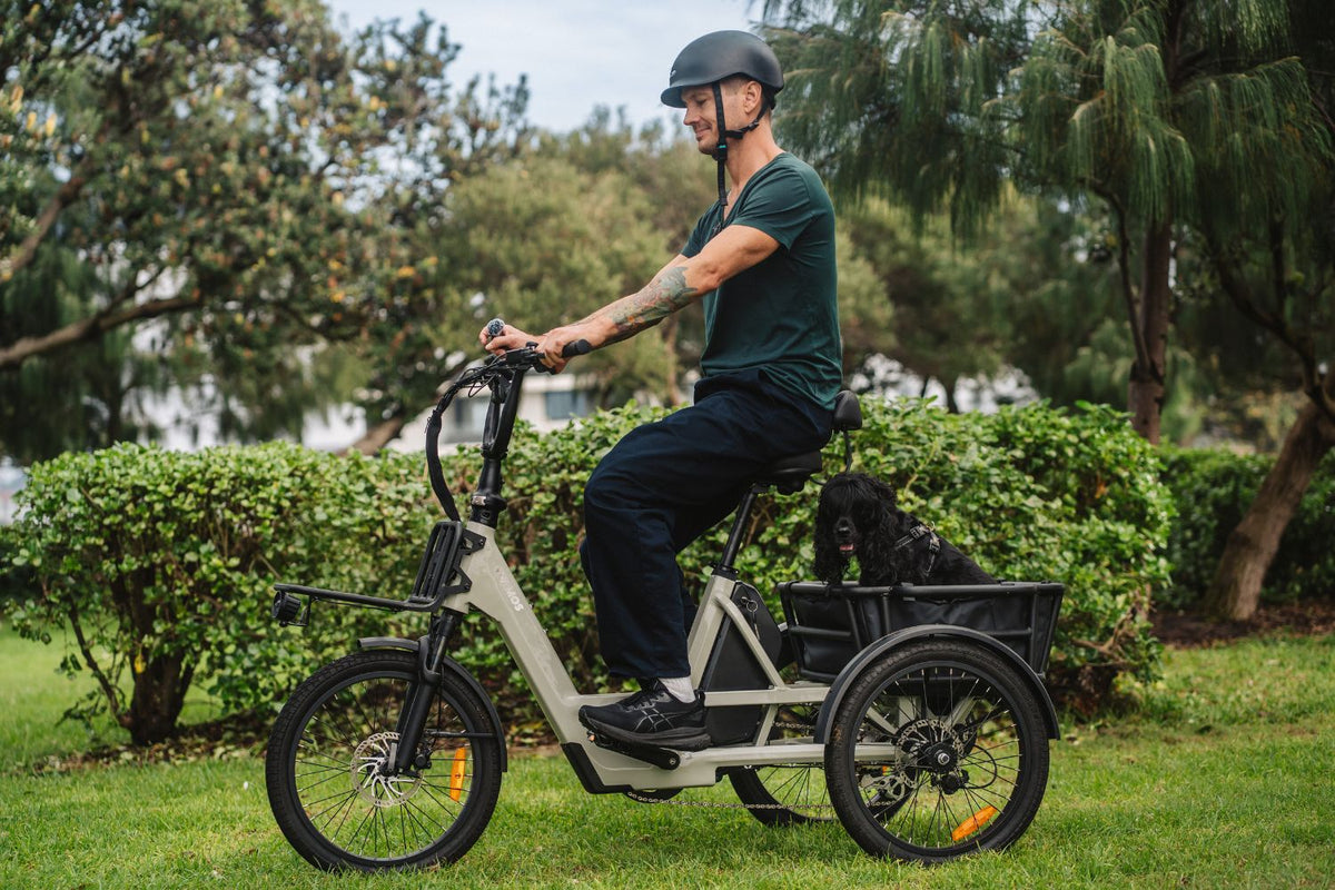 Side angle view of a cyclist riding a cream-colored Vamos electric cargo tricycle carrying a pet in the rear basket on a park lawn.