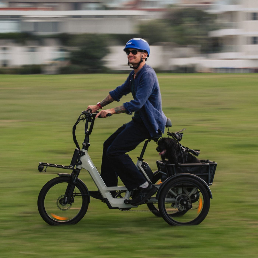 Action lifestyle photograph of a cyclist riding a cream-colored Vamos electric cargo trike with a dog in the rear cargo carrier on a park lawn.