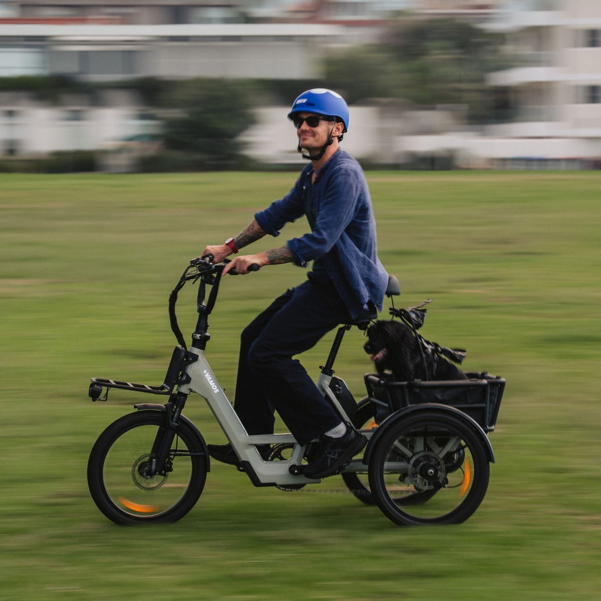 Action lifestyle photograph of a cyclist riding a cream-colored Vamos electric cargo trike with a dog in the rear cargo carrier on a park lawn.