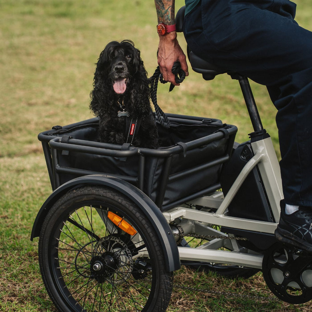Close-up detail photo of a cyclist riding a cream-colored Vamos electric cargo tricycle with a pet dog secured in the rear cargo carrier.