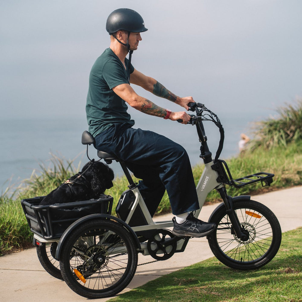 Side view action shot of a man riding a cream-colored Vamos electric cargo tricycle with a pet in the rear carrier along an oceanfront path.